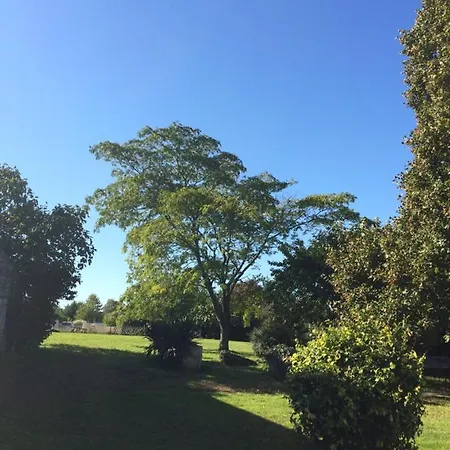 Un Petit Coin De Paradis Daire *